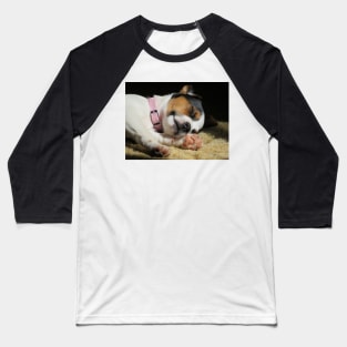 Cuteness Overload Baseball T-Shirt